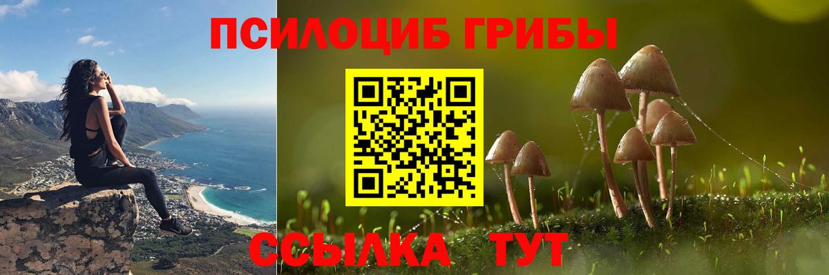 Екатеринбург  Псилоцибиновые грибы Cubensis  Вход с VPN 